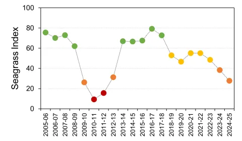 Burdekin region seagrass graph