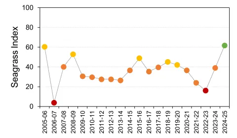 Burnett-Mary seagrass graph