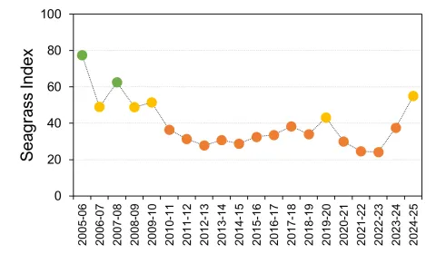 Fitzroy seagrass graph