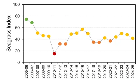 Mackay-Whitsunday seagrass graph