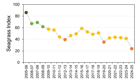 Graph showing seagrass index by year