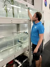 Aquarium