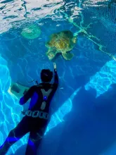 Aquarium