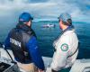 Compliance and zoning check with the Reef Authority and Queensland Parks and Wildlife Service – Australia - © QPWS - Photographer: Victor Huertas