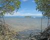 Woody Island