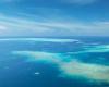 Tongue Reef, Cairns