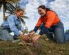 Two women kneeling to plant a small tree outdoors