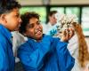 Two students in blue lab coats inspect a dried coral skeleton