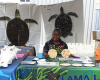 An Aboriginal ranger sits at a community event stall holding wooden discs with turtles on them with turtle posters behind her.