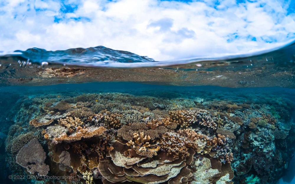 Coral reef and sky photo - Great Barrier Reef – Australia - © QPWS - Photographer: Victor Huertas