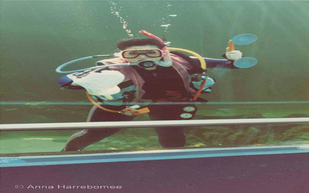 Anna cleaning a window while diving