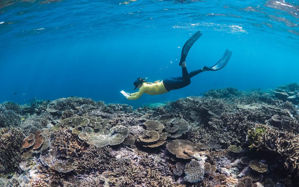 © Tourism Reef Protection Initiative MRG Jessica Tourism Weekly Survey Lady Elliott Island