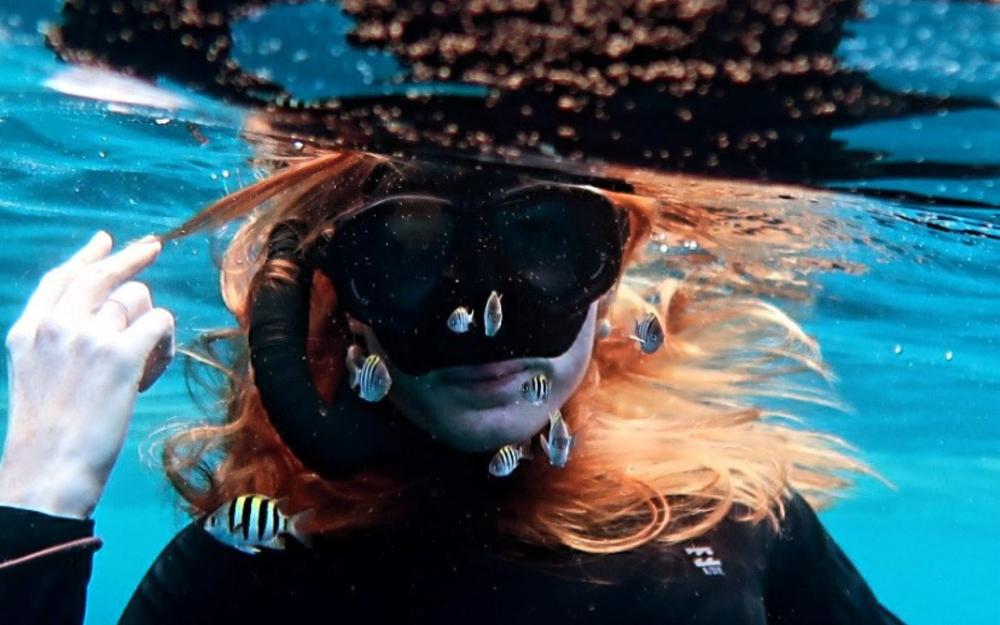 Girl underwater with little fish swimming around her face with a snorkelling mask.