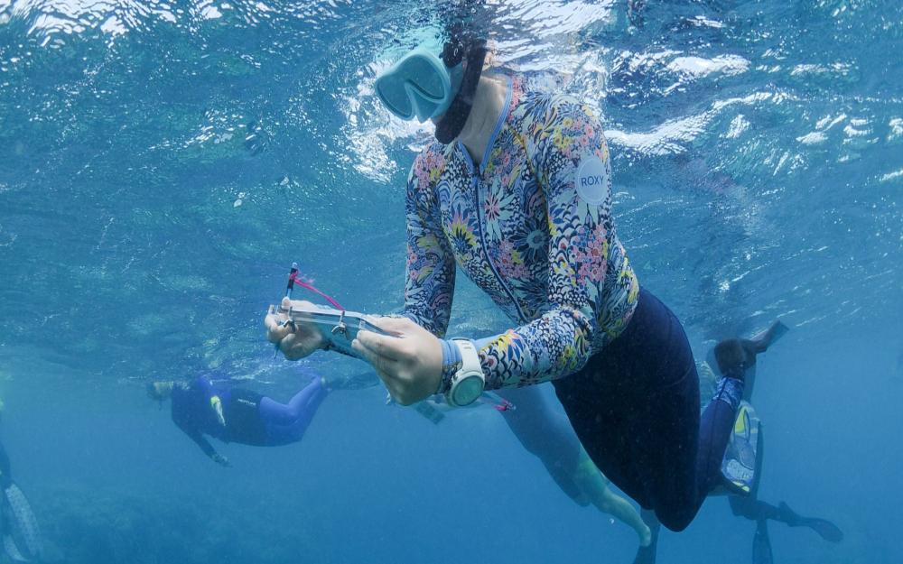 Snorkeller with a clipboard with Eye on the Reef form