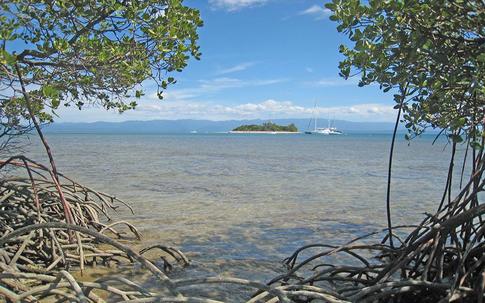 Woody Island
