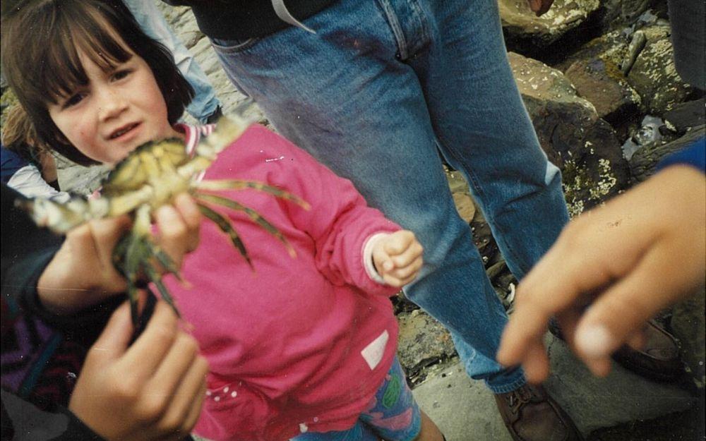Child on the beach with a crab