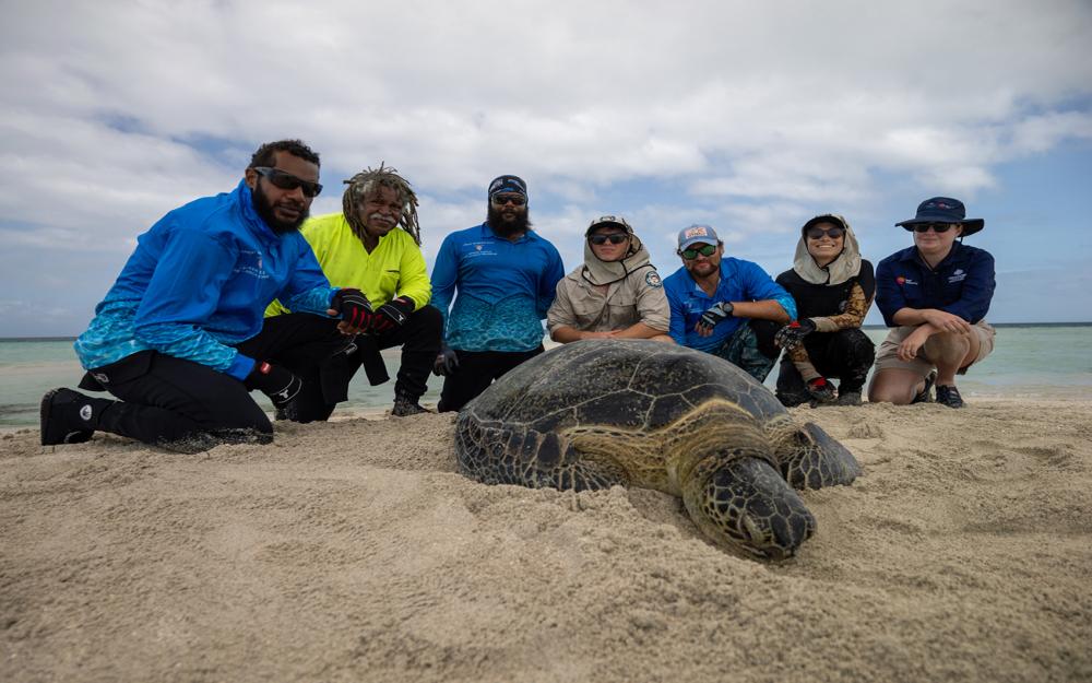 Green sea turtle Torres Straits Great Barrier Reef Traditional Owners