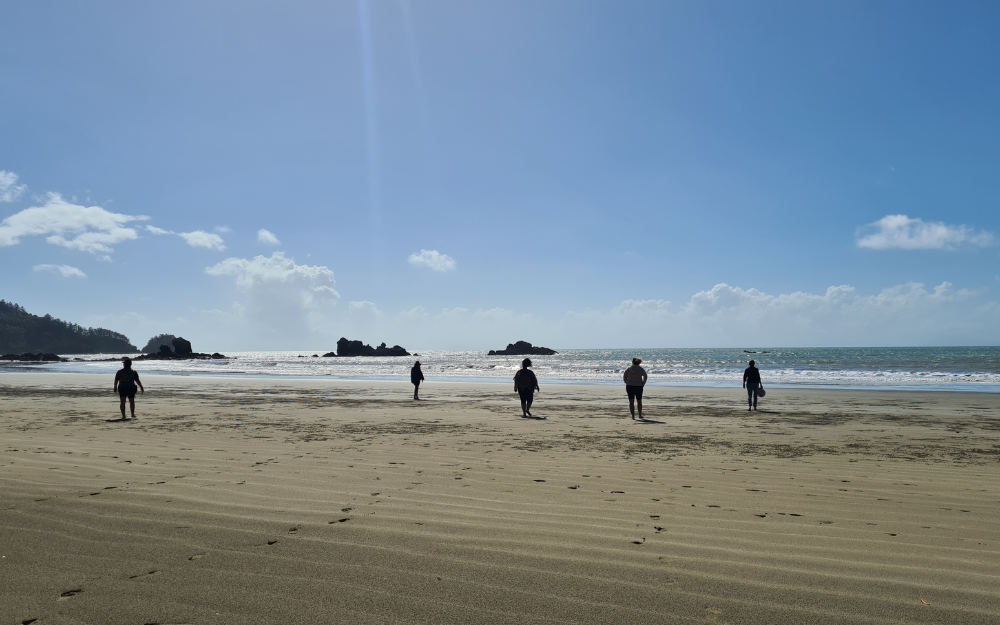 Yuwi Traditional Owners on Country, Cape Hillsborough – Southern Great Barrier Reef