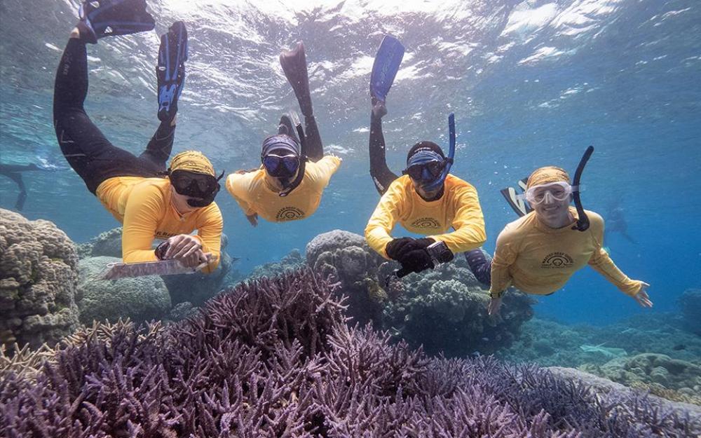 Four snorkellers surveying reef with clipboards