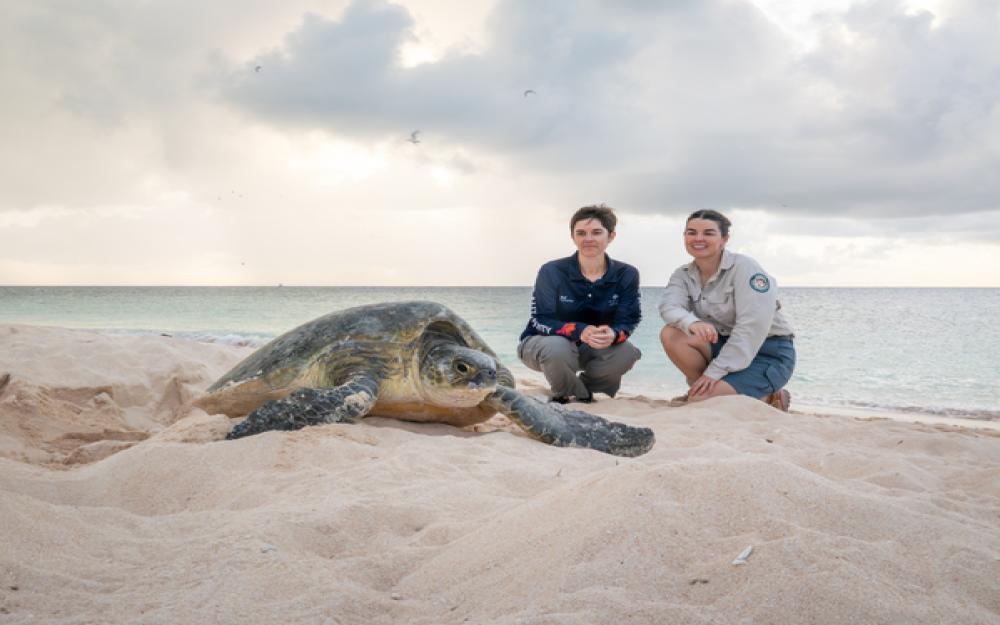 Reef Authority and QPWS on Raine Island 