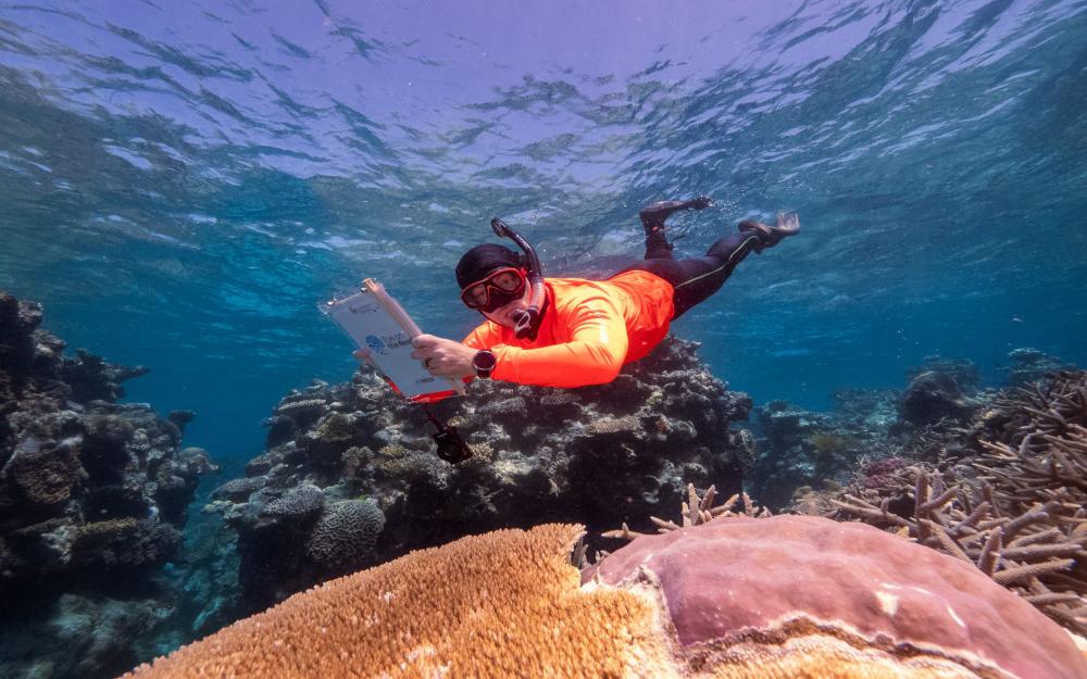 Dr Roger Beeden surveying Reefs off Cairns