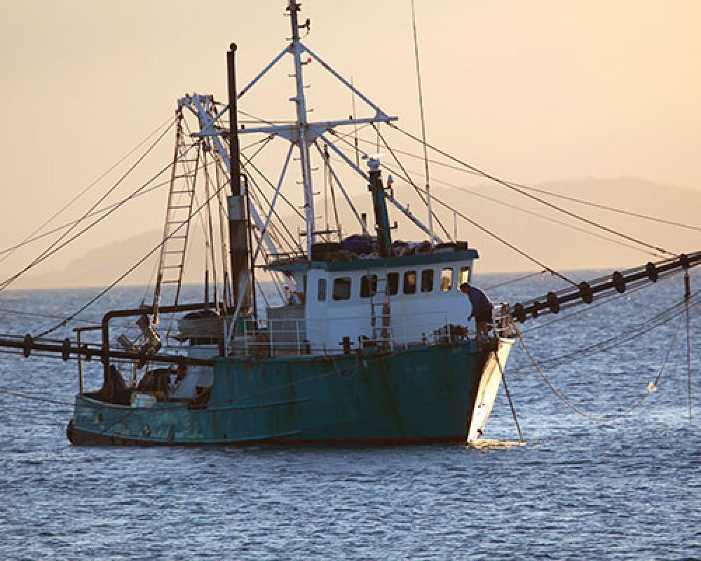 Trawler boat in the Port Douglas region, in Far North Queensland