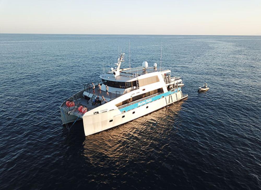 Aerial photo of Reef Ranger