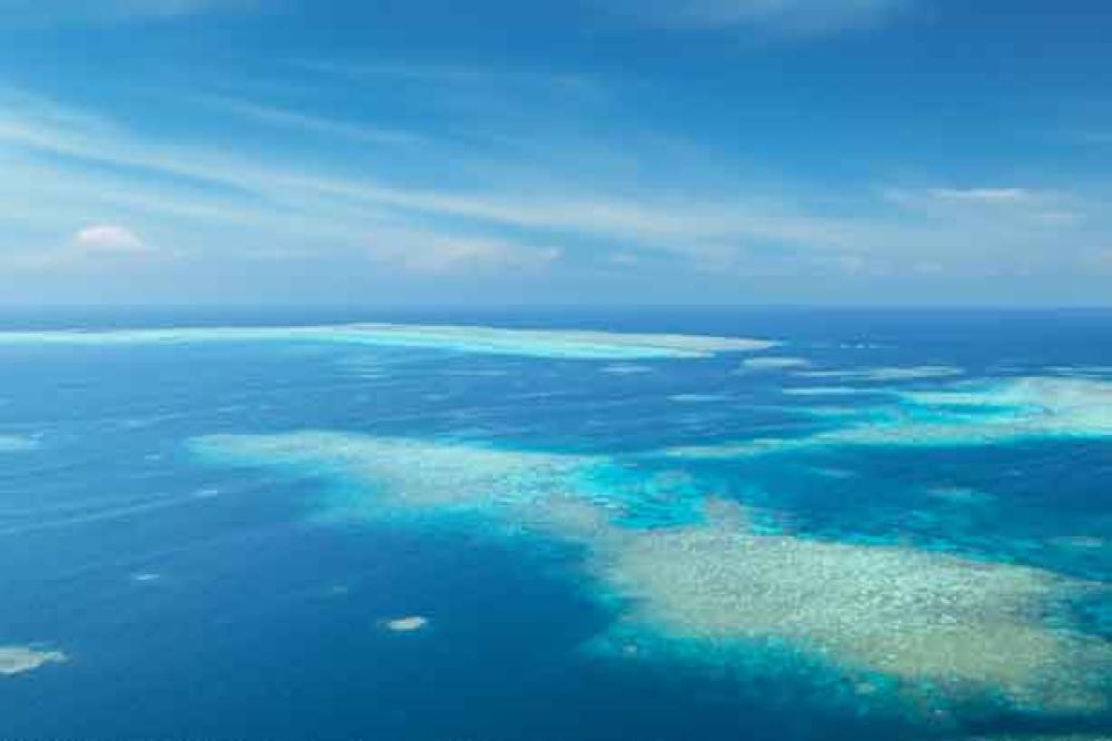 Tongue Reef, Cairns