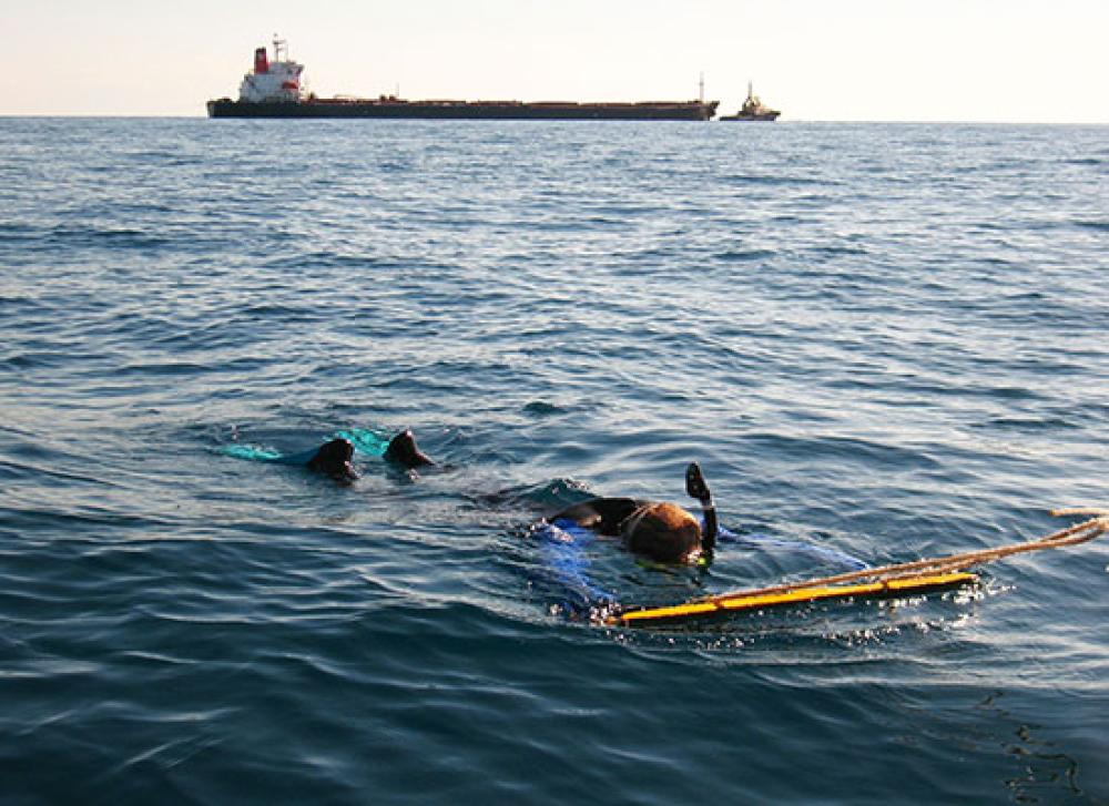 Shen Neng carrier with diver in foreground