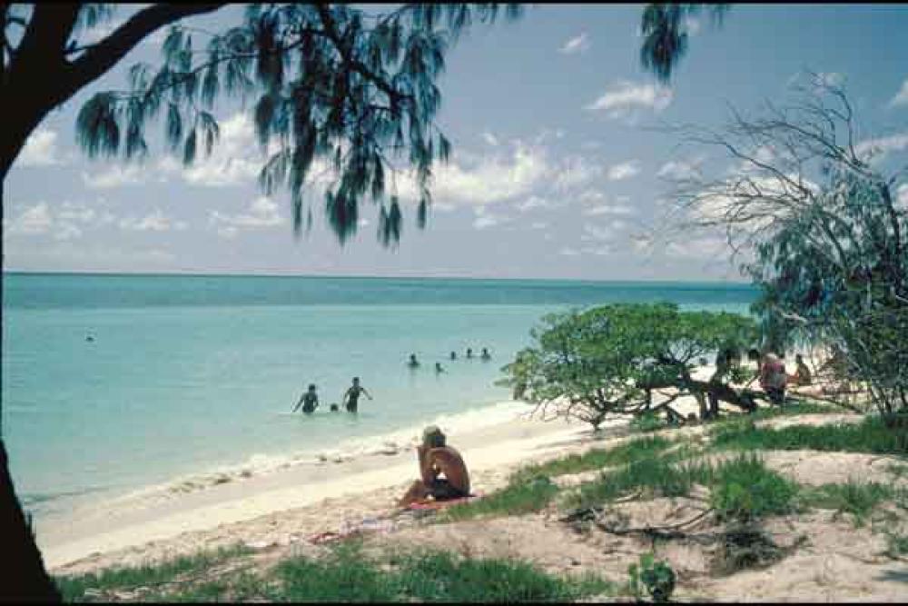 Tourists swimming in clear blue green waters off north east beach; on Heron Island