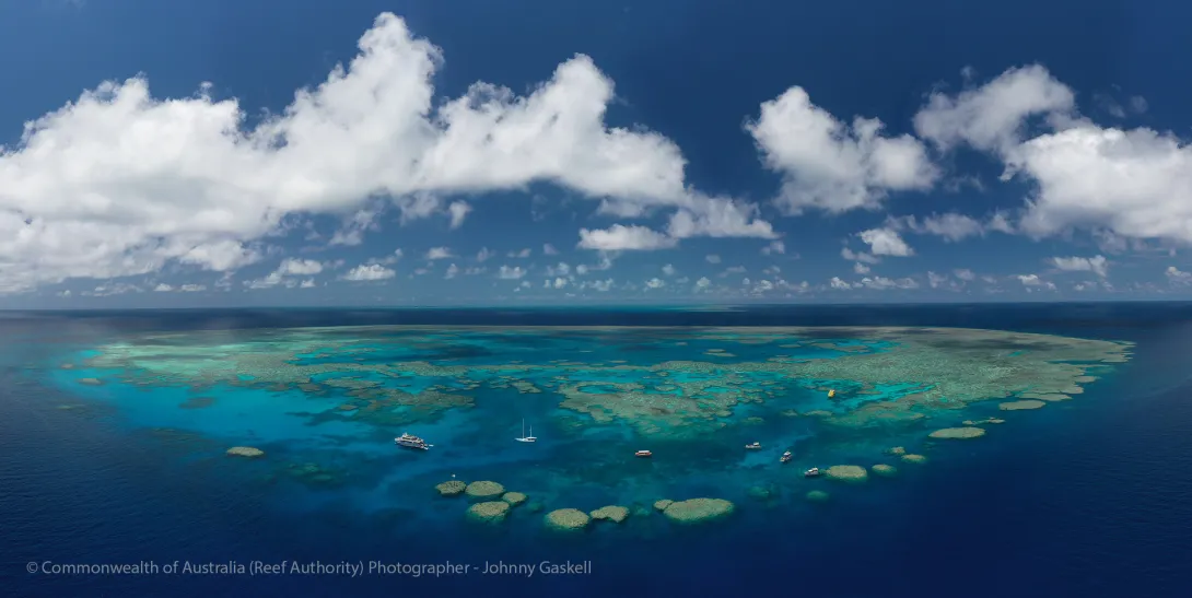 Bait Reef High Standard Tourism Operators Whitsundays