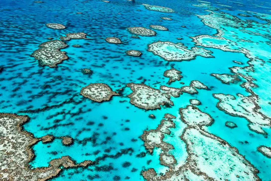 Photography of the outer reef lagoon