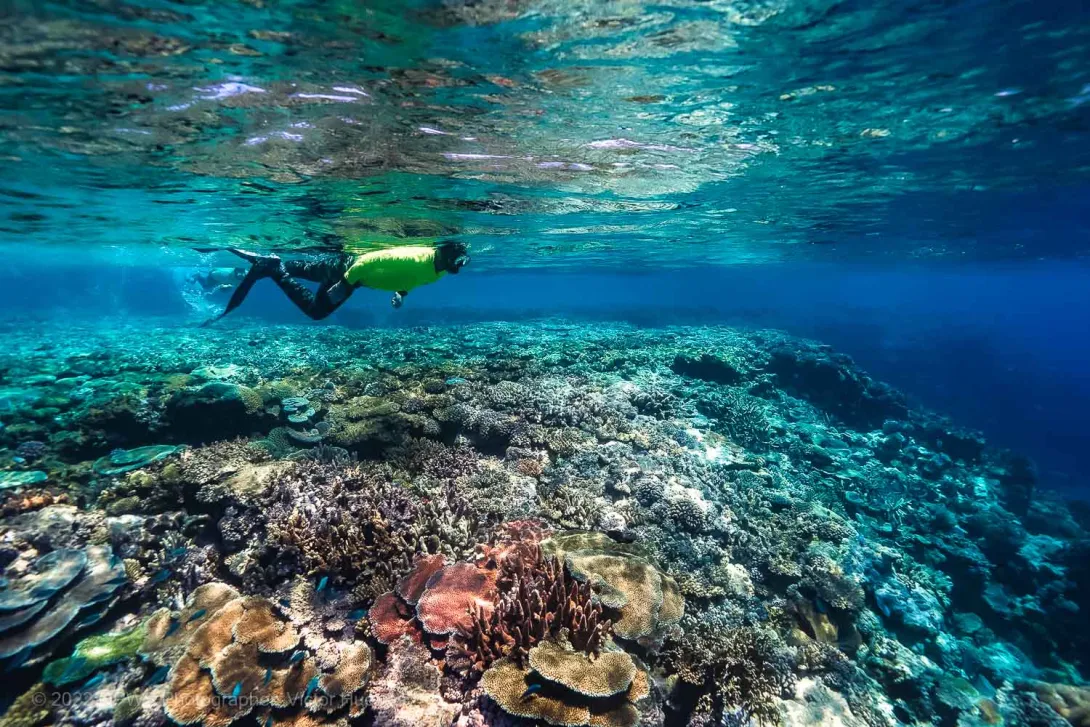 Queensland Parks and Wildlife staff member snorkeling – Australia - © QPWS - Photographer: Victor Huertas