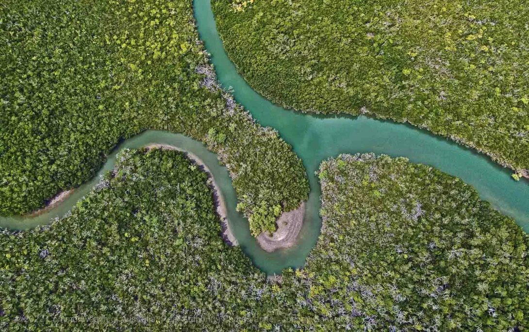 River and estuaries feed from the land to the Marine Park 