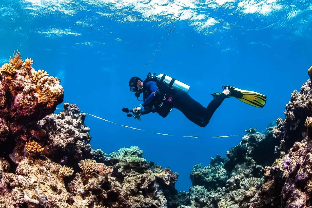 Diver monitoring the Reef for science - Australia -  © Victor Huertas