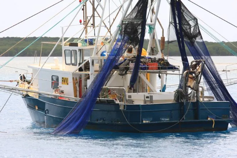 Commercial Trawler © Commonwealth of Australia (Reef Authority)