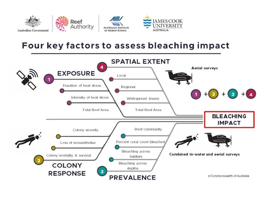 Coral bleaching framework