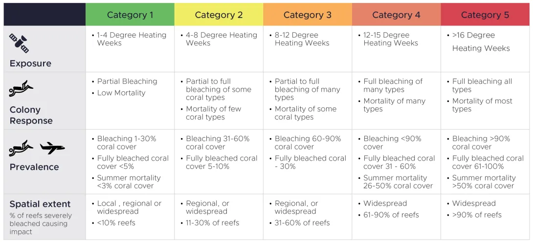 Categorisation table for coral bleaching